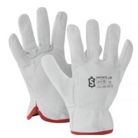 Driver gloves in cowhide leather - L-2N