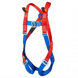 2 point harness - FP13