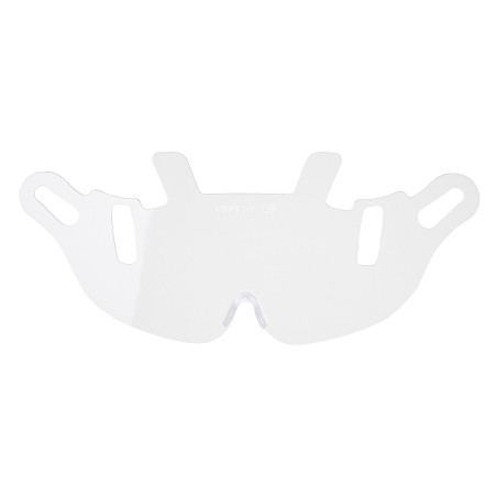 Endurance visor replacement - PW56