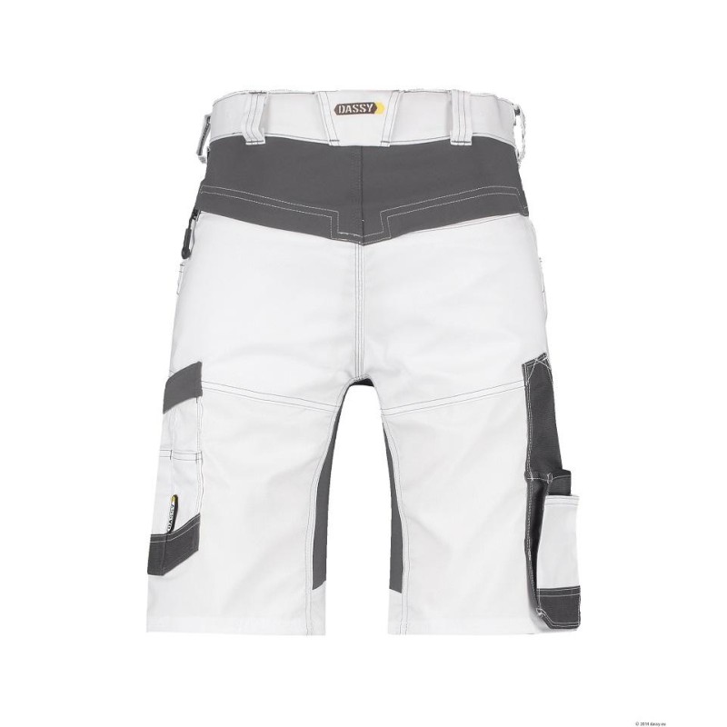 Painter shorts D-FX FLEX - AXIS PAINTERS Painter shorts D-FX FLEX - AXIS PAINTERS