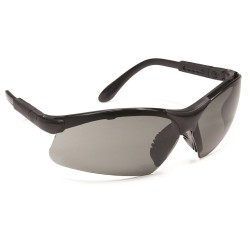 Lunettes de sécurité THETA...